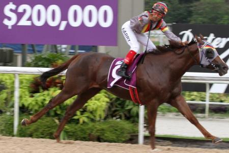 Speedy Dragon blazes the trail in New Year Cup