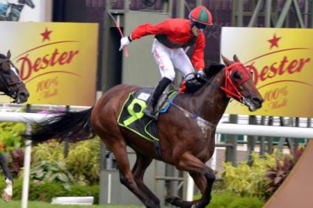Super Fortune all fired up for win No. 5