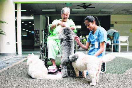 Pet-assisted therapy boosts patients&#039; well-being