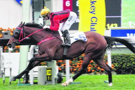 Dinozzo notches his second victory in four days by capturing the Group 3 Centenary Vase Handicap at Sha Tin on Sunday