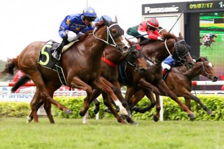 Boy Wonder romps home in style