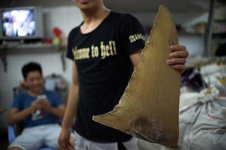 Some local F&amp;B outlets to take shark&#039;s fin off their menu