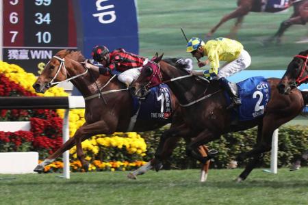 Time Warp takes HK Gold Cup in record time