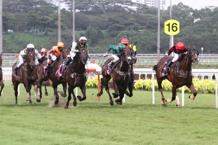 Jockey Nooresh Juglall driving Charger (No. 10) up to a last-stride victory and a treble for himself on Sunday