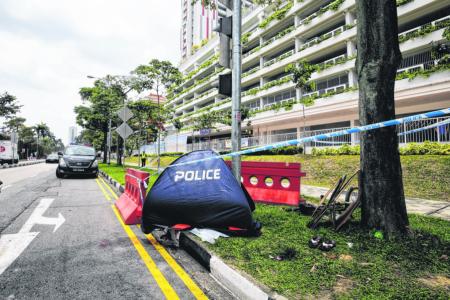 Woman, 72, dies after she is hit by lorry at Sin Ming 
