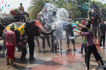 Elephant water battle heralds Thai New Year 