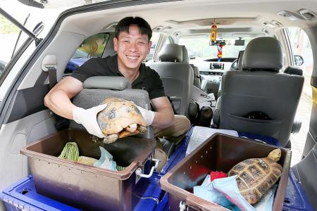 Acres returns six rescued reptiles back to M’sia