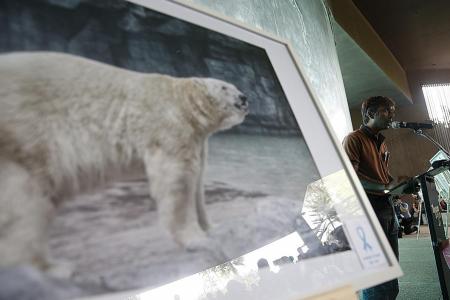 Zoo workers, guests pay their last respects to Inuka