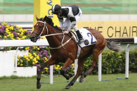 Jockey Zac Purton steering Exultant to win the Group 3 Queen Mother Memorial Cup over 2,400m at Sha Tin on Sunday. 