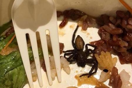 Salad bar apologises for dead spider in salmon poke bowl