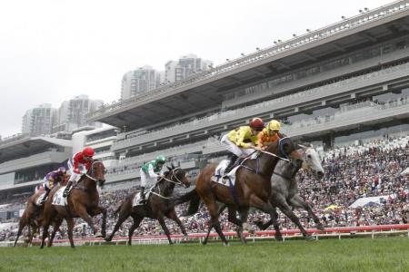 All systems go for Kranji Mile foreign trio