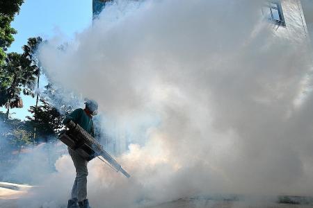 Fogging not very effective, says dengue expert