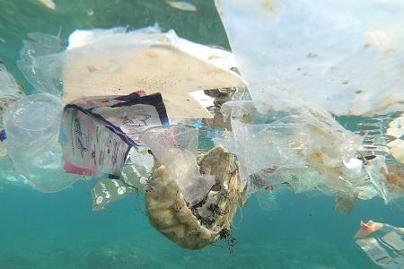 Plastic waste threatening marine life in Australian waters