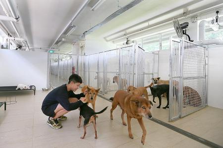 Animal shelters worry about costs after move to new home