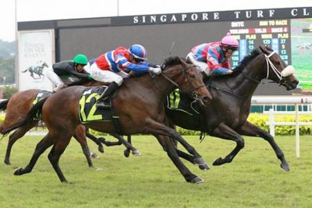 Watch out for Aushorse thriller