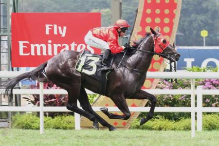 Bold Thruster stepping up from his debut fifth to score a runaway 61/4-length victory with jockey Barend Vorster astride at Kranji on Sunday. 