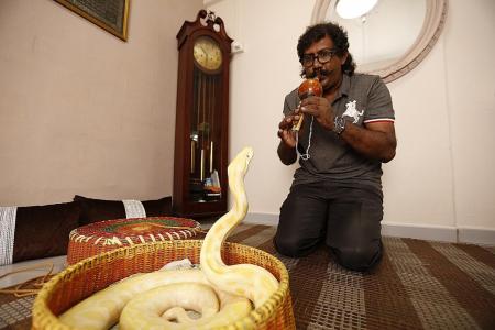He leads a snake-charmed life