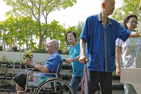Nursing home&#039;s therapeutic garden a boon for residents