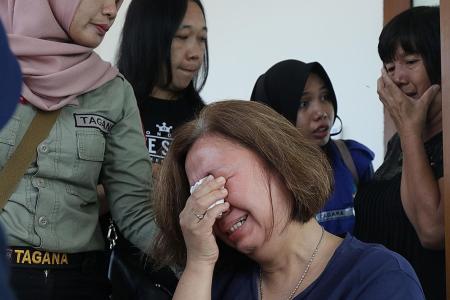 Lion Air jet flew erratically day before it crashed