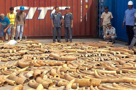 Cambodia seizes record 3-tonne haul of African ivory