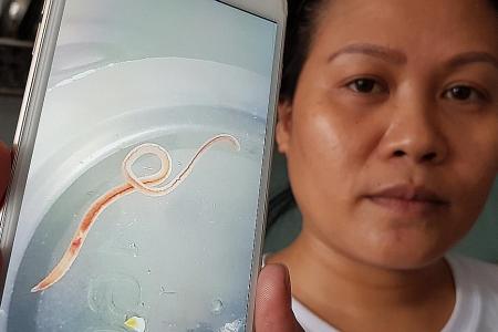 Worms found in water in Ang Mo Kio