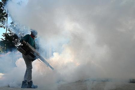  Dengue cases up 20 per cent in 2018: NEA