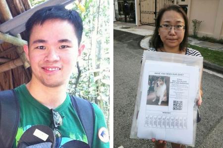 Strangers from over Singapore came together to search for missing dog