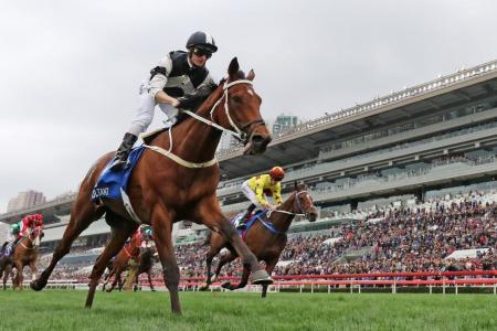 Jockey Zac Purton in full control as Exultant takes the Group 1 Citi Hong Kong Gold Cup over 2,000m at Sha Tin on Sunday. 