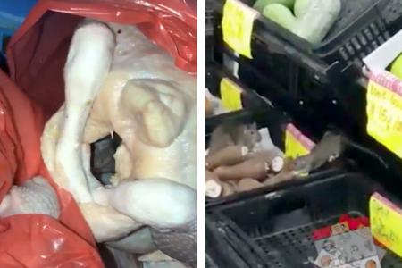 Rat hangs out in raw chicken outside Toa Payoh eatery