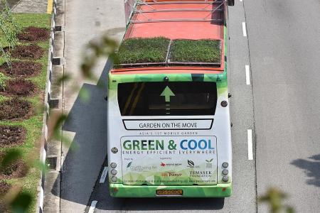 Buses with green roofs hit the roads