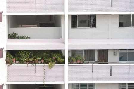 Pasir-Ris flat owner keeps close to 80 plants in common corridor