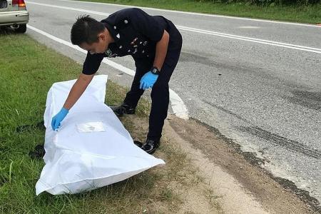 Singaporean biker decapitated in freak accident in Johor Baru