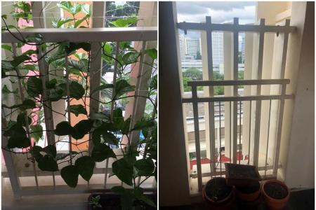 HDB residents ask ‘are you going to stamp out creativity?’