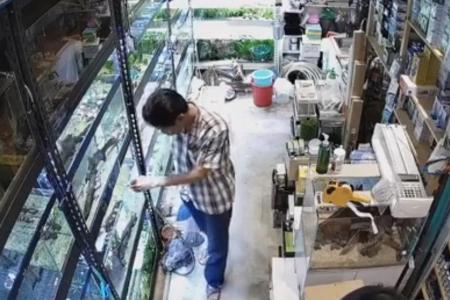 Customer allegedly poisons aquarium fish