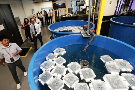 Aquaculture centre aims to boost Singapore&#039;s food sustainability goal