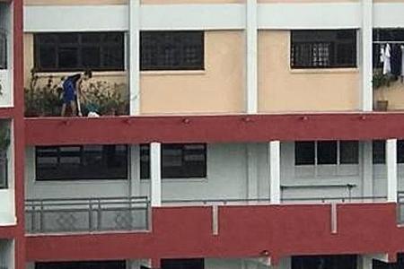 Woman warned after tending to plants on 10th-storey ledge