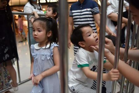 China's child modelling industry booms amid controversy