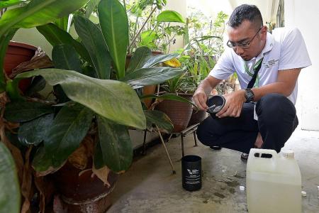 More mosquito traps to be deployed as dengue cases rise