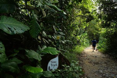 Running Cross Island line under nature reserve feasible