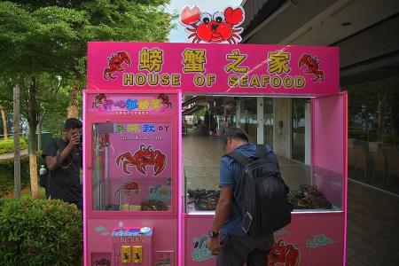 Restaurant slammed for letting patrons catch crabs with claw machines