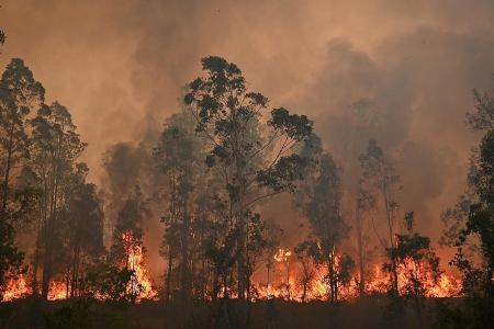 Aussie bush fires expected to worsen