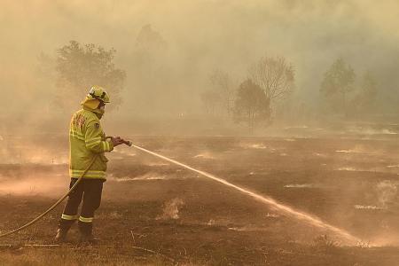 ‘Catastrophic’ fires continue to rage in Australia