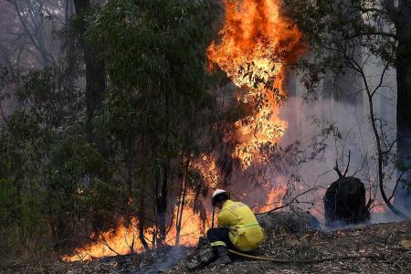Perth records hottest day in November as fire fears continue