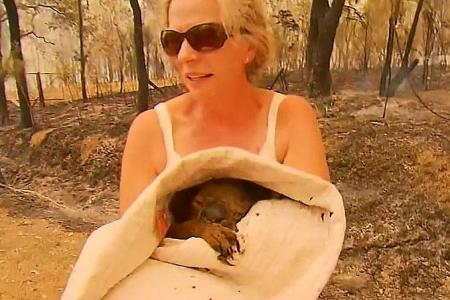 Aussie woman goes viral after saving koala from fire