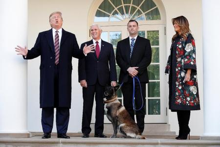 Trump lauds military dog in raid that led to death of ISIS leader