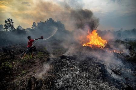 Forest fires cost Indonesia $7.1 billion in economic losses