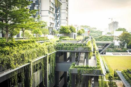 Over 80 new HDB estates to get &#039;greener&#039;