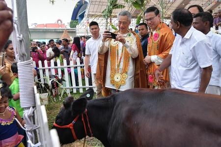PM Lee celebrates Pongal harvest festival with Bukit Panjang residents