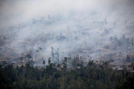 Jokowi orders permanent solution to Indonesia’s man-made forest fires
