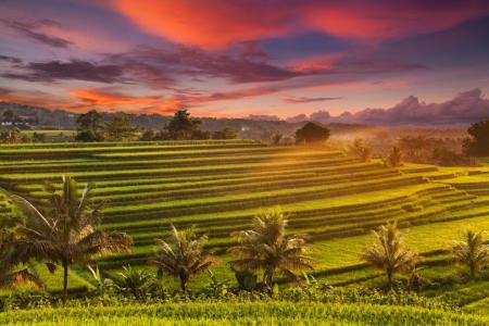 Great escapes to the intriguing Indonesia